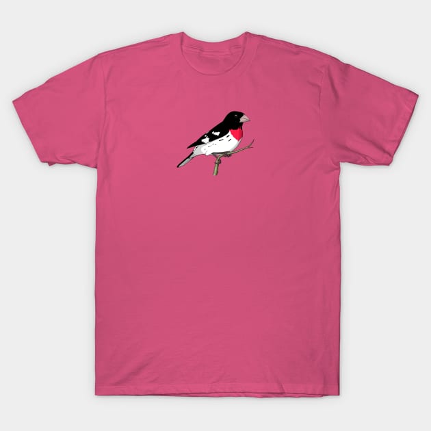 Rose-breasted Grosbeak T-Shirt by Feathered Focus